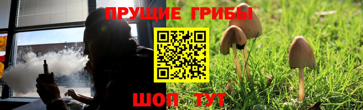 Псилоцибиновые грибы GOLDEN TEACHER  Вход с VPN  Зерноград 